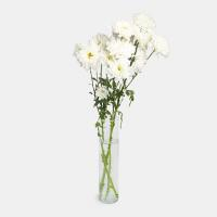 دسته گل داوودی سفید	