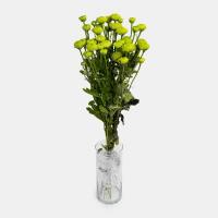 دسته گل داوودی سبز