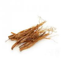 ریشه جنسینگ