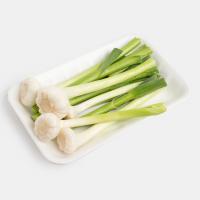 سیر تازه اصفهان