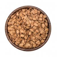 تخمه محبوبی گلپر