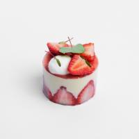 فریزیه اسلایس