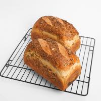 نان تست هفته غله