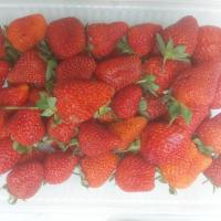 توت فرنگی گلخانه ای کرج ممتاز