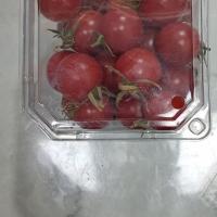 گوجه گیلاسی