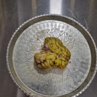 مغز گوسفندی