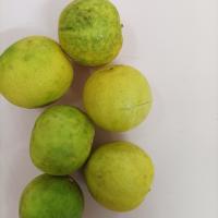 نارنج یا لیمو
