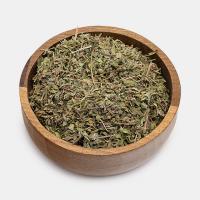 گیاه کاکوتی