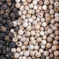 فلفل دان سفید درجه یک