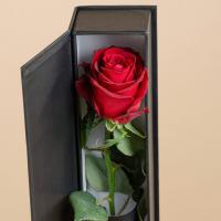 باکس گل تک شاخه رز قرمز