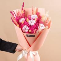 دسته گل خشک ۵شاخه پنبه طیف صورتی