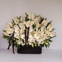 باکس گل رستاک