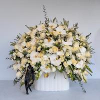 باکس گل کاملیا