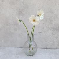 شاخه گل ژربرا سفید