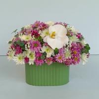 باکس گل مینی پولسکا