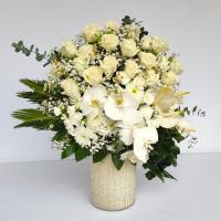 جام گل پالادیوم 