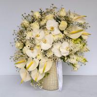 جام گل لاماسیا 