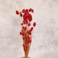 گل خشک مدل توت فرنگی