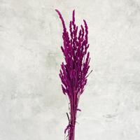 گل خشک مدل قمیش