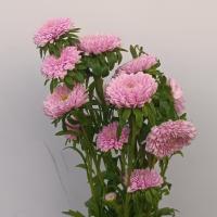 دسته گل مینا صورتی