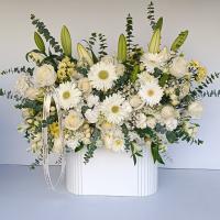 باکس گل ونیز