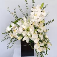 باکس گل سپندار