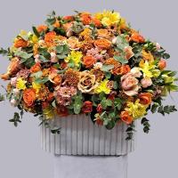 باکس گل پولسکا نارنجی