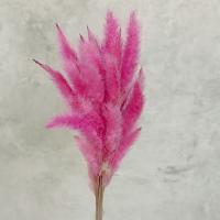 گل خشک مدل دم روباهی