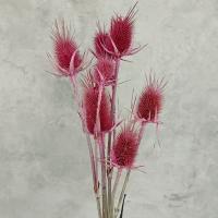 گل خشک مدل آناناسی