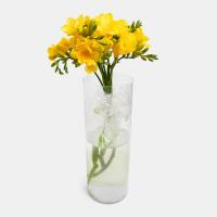 دسته گل فرزیا زرد