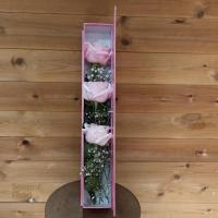 باکس کتابی گل رز صورتی  - شهر گل (جردن)