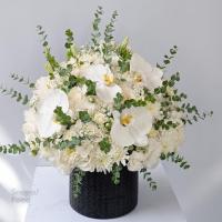باکس گل مونیکا باکس سفید - شهر گل (جردن)