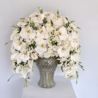 جام گل فانزا