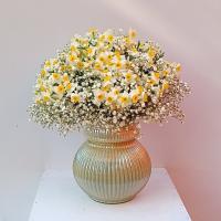 جام گل نرگس ملکه