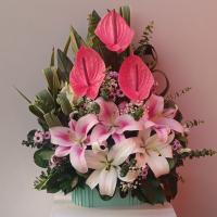 باکس گل خاتون