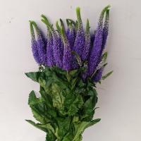 دسته گل ورونیکا بنفش