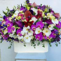 باکس گل آرتمیس