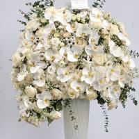 جام گل شکوه سپید