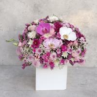 باکس گل سرنا