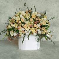 باکس گل میامی