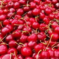 گیلاس ممتاز