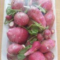 سبزی تربچه پاک شده