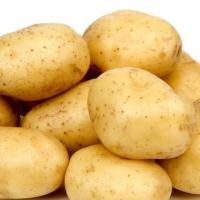 سیب زمینی درجه 1