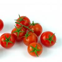 گوجه گیلاسی درجه 1