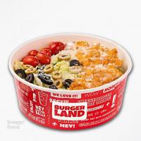 سالاد سزار با مرغ سوخاری