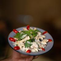 پاستا چیکن آلفردو