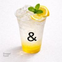 رفرشر لیمو نعنا