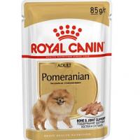 پوچ سگ پامرانین رویال کنین pomeranian royalcanin