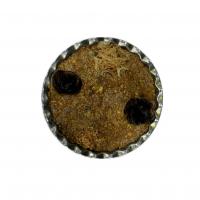 میرزاقاسمی