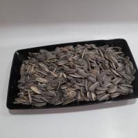 تخمه سنقری